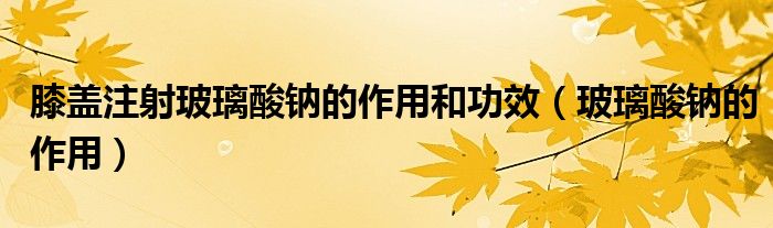 膝盖注射玻璃酸钠的作用和功效（玻璃酸钠的作用）