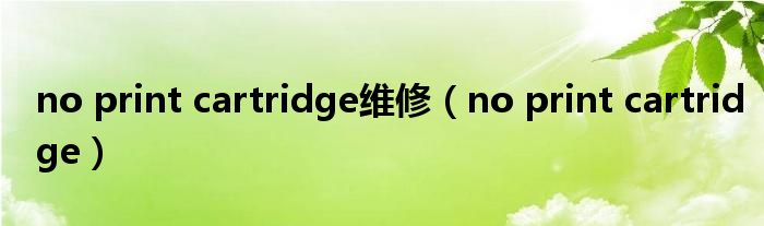 no print cartridge维修（no print cartridge）