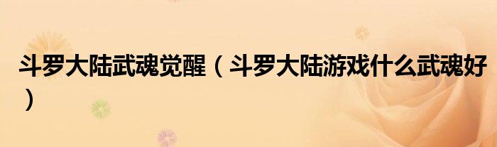 斗罗大陆武魂觉醒（斗罗大陆游戏什么武魂好）