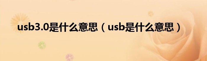 usb3.0是什么意思（usb是什么意思）