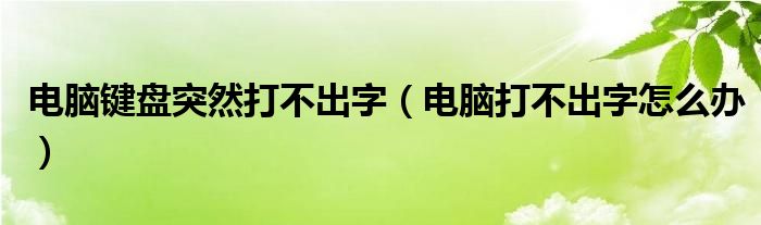 电脑键盘突然打不出字（电脑打不出字怎么办）