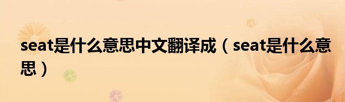 seat是什么意思中文翻译成（seat是什么意思）