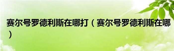 赛尔号罗德利斯在哪打（赛尔号罗德利斯在哪）