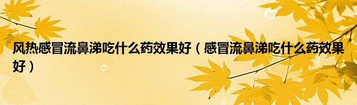 风热感冒流鼻涕吃什么药效果好（感冒流鼻涕吃什么药效果好）