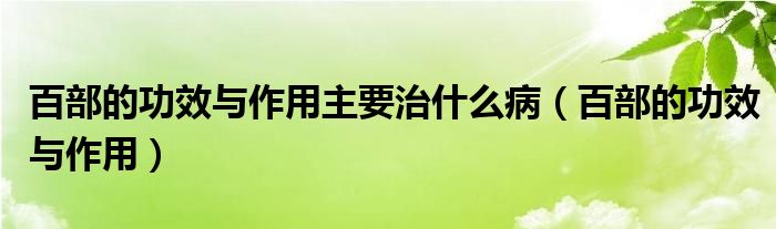 百部的功效与作用主要治什么病（百部的功效与作用）