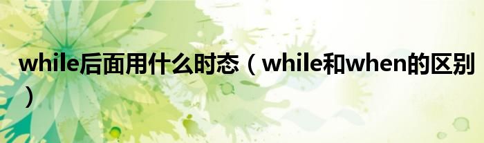 while后面用什么时态（while和when的区别）