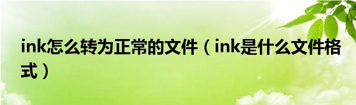 ink怎么转为正常的文件（ink是什么文件格式）