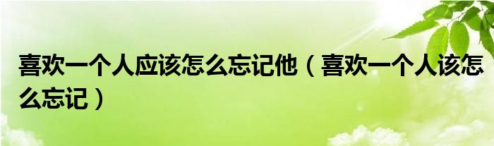 喜欢一个人应该怎么忘记他（喜欢一个人该怎么忘记）