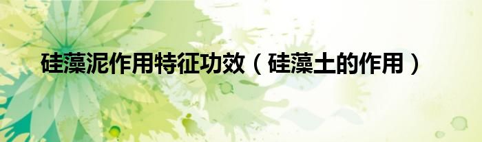 硅藻泥作用特征功效（硅藻土的作用）