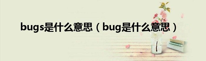 bugs是什么意思（bug是什么意思）