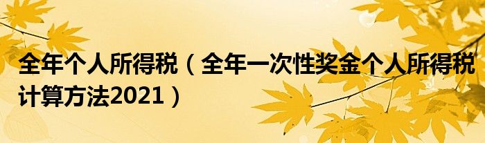 全年个人所得税（全年一次性奖金个人所得税计算方法2021）