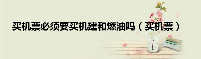 买机票必须要买机建和燃油吗（买机票）