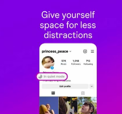 Instagram新功能安静模式鼓励用户离开平台休息一下