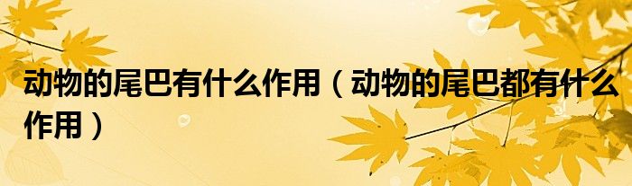 动物的尾巴有什么作用（动物的尾巴都有什么作用）