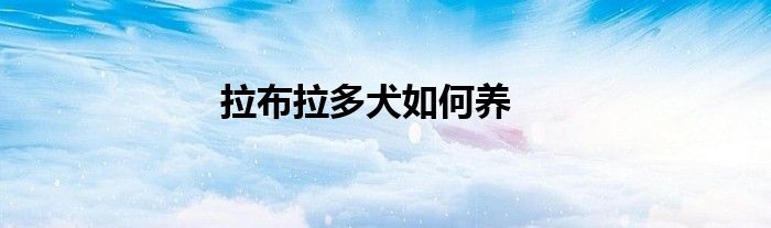 拉布拉多犬如何养