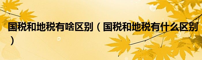 国税和地税有啥区别（国税和地税有什么区别）