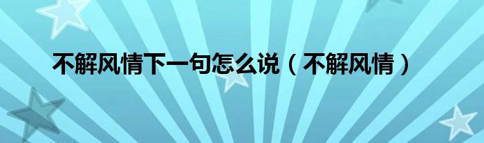 不解风情下一句怎么说（不解风情）