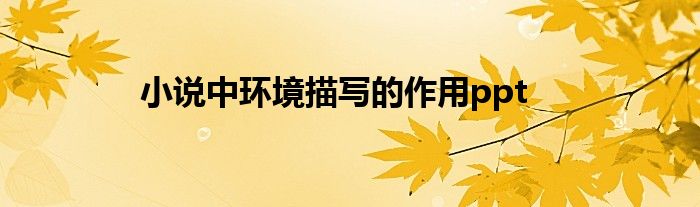 小说中环境描写的作用ppt