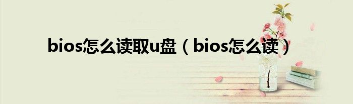 bios怎么读取u盘（bios怎么读）