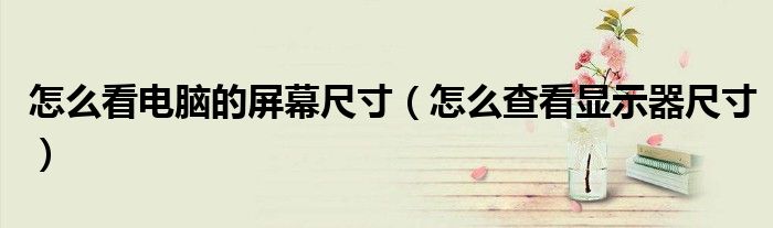 怎么看电脑的屏幕尺寸（怎么查看显示器尺寸）