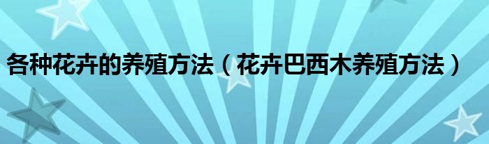 各种花卉的养殖方法（花卉巴西木养殖方法）