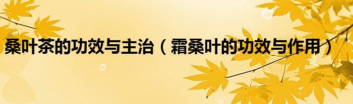 桑叶茶的功效与主治（霜桑叶的功效与作用）