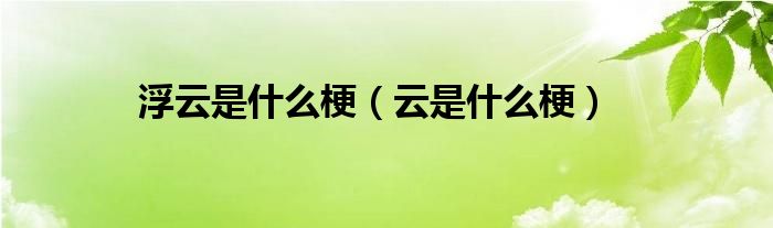 浮云是什么梗（云是什么梗）