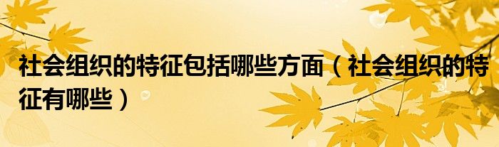 社会组织的特征包括哪些方面（社会组织的特征有哪些）