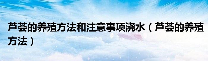 芦荟的养殖方法和注意事项浇水（芦荟的养殖方法）