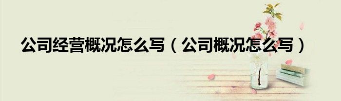 公司经营概况怎么写（公司概况怎么写）
