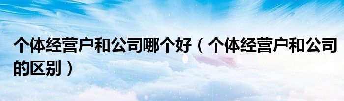 个体经营户和公司哪个好（个体经营户和公司的区别）