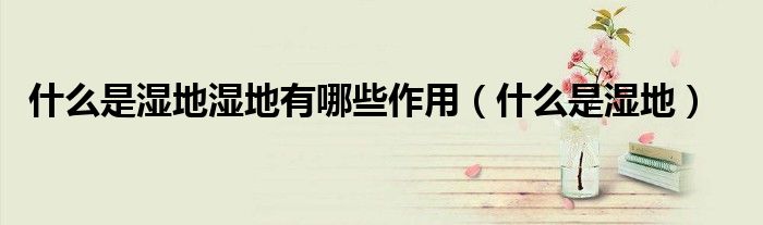 什么是湿地湿地有哪些作用（什么是湿地）