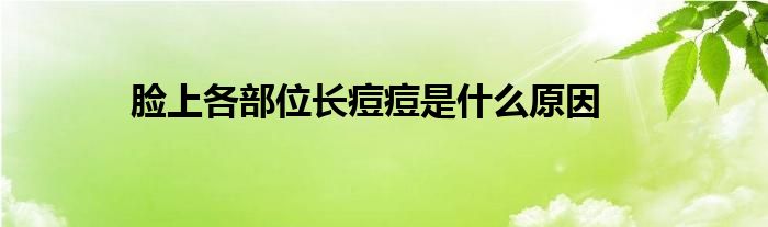 脸上各部位长痘痘是什么原因