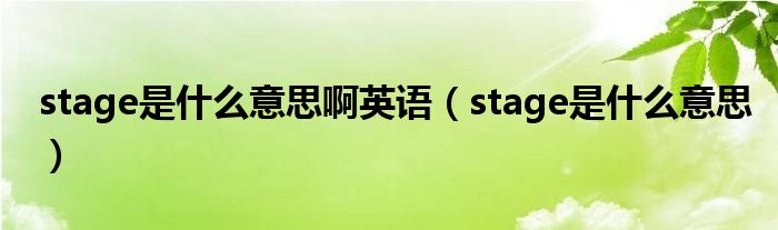stage是什么意思啊英语（stage是什么意思）