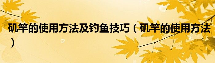 矶竿的使用方法及钓鱼技巧（矶竿的使用方法）