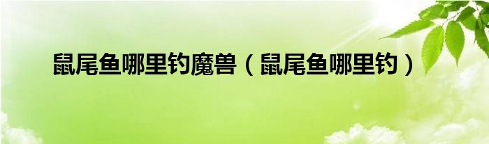 鼠尾鱼哪里钓魔兽（鼠尾鱼哪里钓）