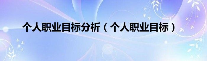 个人职业目标分析（个人职业目标）