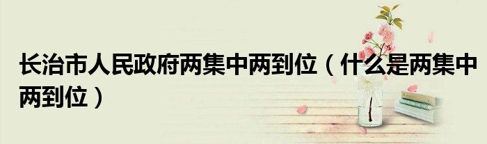 长治市人民政府两集中两到位（什么是两集中两到位）