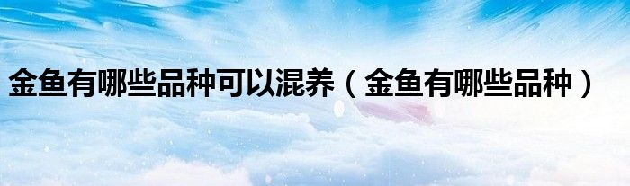 金鱼有哪些品种可以混养（金鱼有哪些品种）