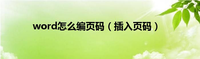 word怎么编页码（插入页码）