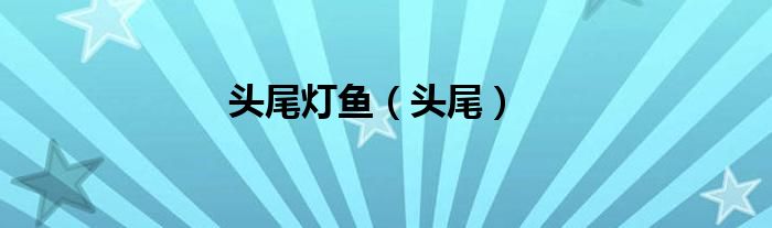 头尾灯鱼（头尾）