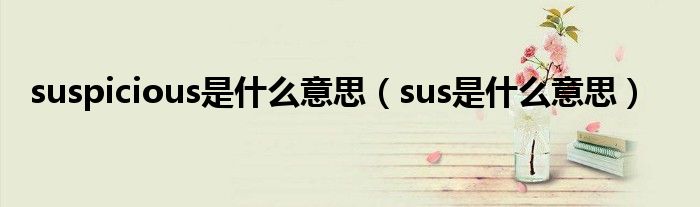 suspicious是什么意思（sus是什么意思）