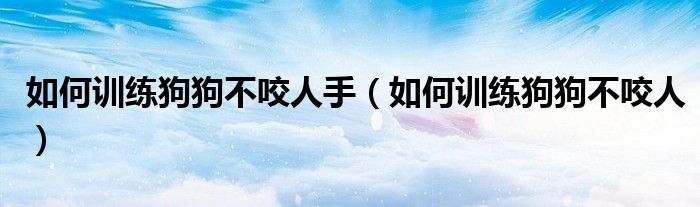 如何训练狗狗不咬人手（如何训练狗狗不咬人）