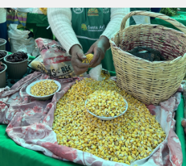 保护粮食作物免受气候变化和其他破坏影响的新方法