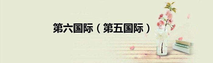 第六国际（第五国际）