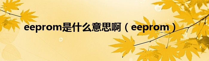 eeprom是什么意思啊（eeprom）