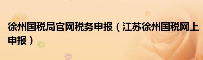 徐州国税局官网税务申报（江苏徐州国税网上申报）