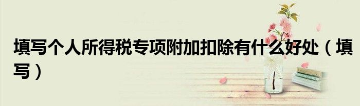 填写个人所得税专项附加扣除有什么好处（填写）