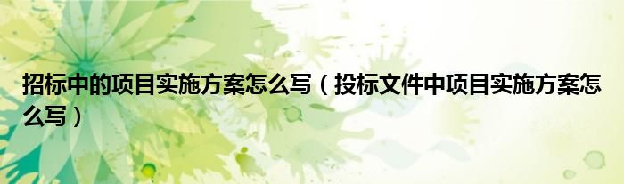 招标中的项目实施方案怎么写（投标文件中项目实施方案怎么写）