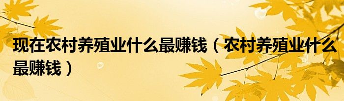 现在农村养殖业什么最赚钱（农村养殖业什么最赚钱）